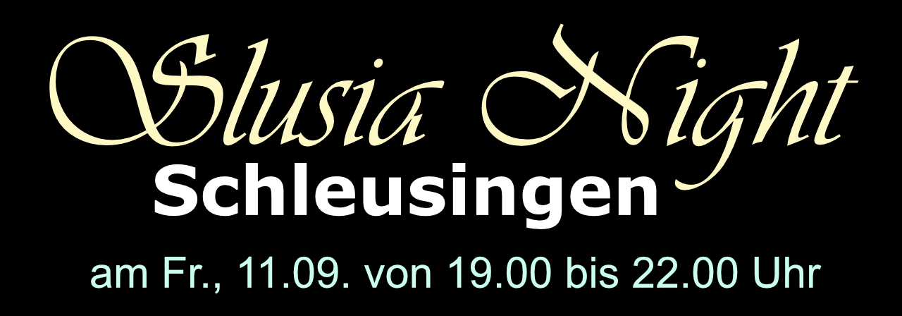 Slusia-Night - Altstadt Schleusingen bei Nacht